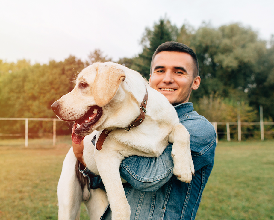 hero_image_07 https://www.petsacolori.it/wp-content/uploads/2019/07/hero_image_07.png