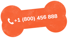 https://www.petsacolori.it/wp-content/uploads/2019/07/text_02.png